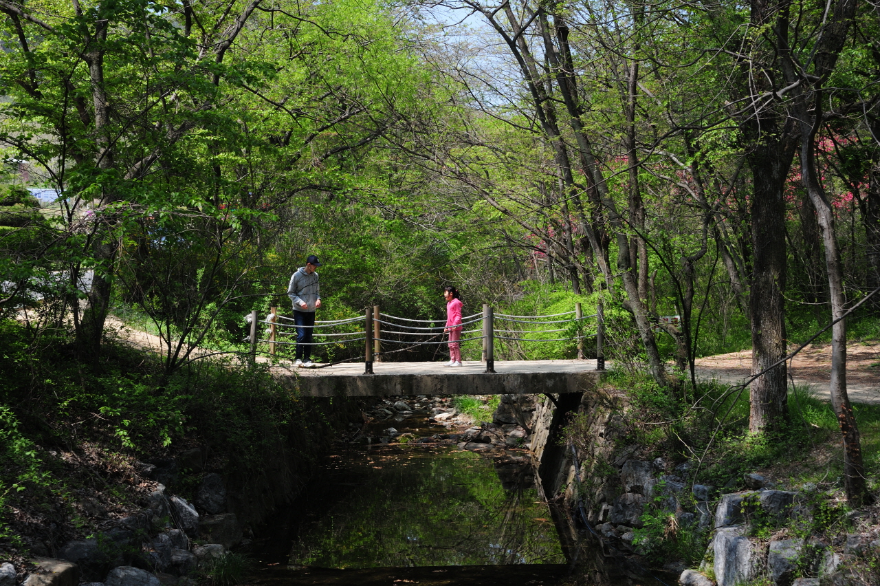 DSC_1309_00002.jpg