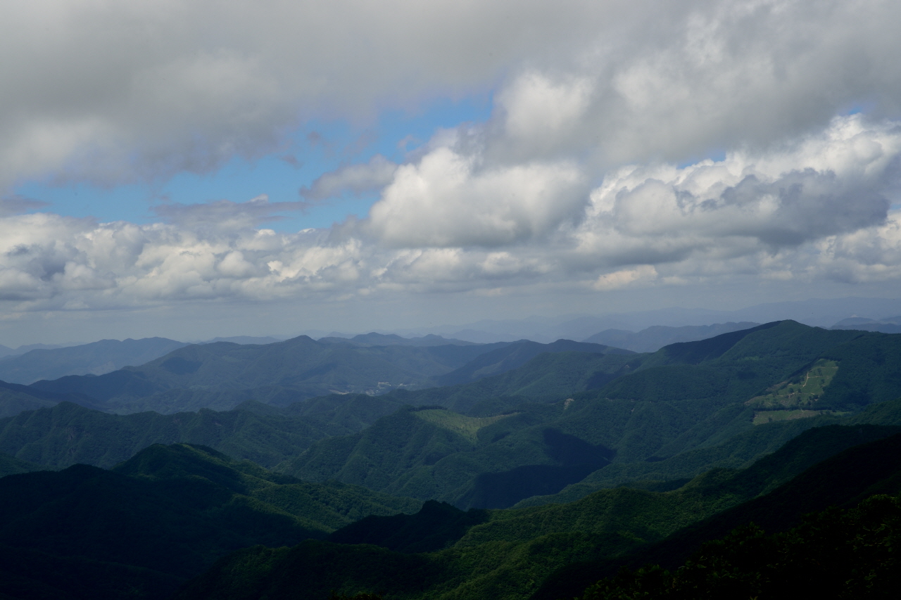 DSC_5090.JPG
