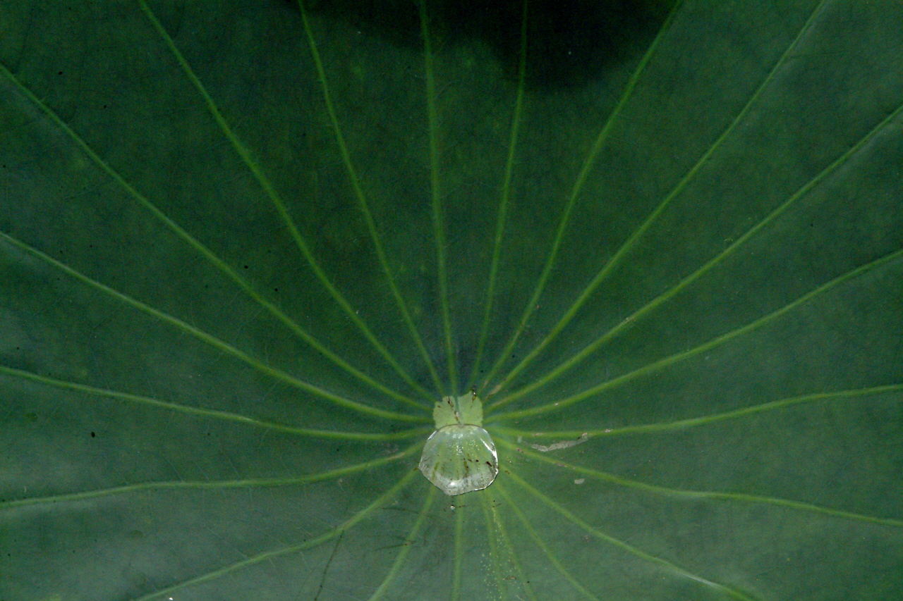 DSCF0056.jpg
