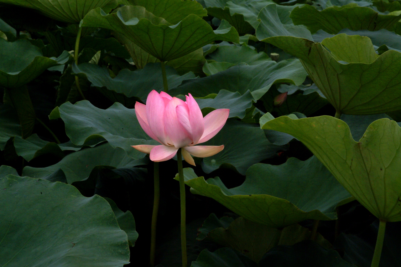 DSCF0059.jpg