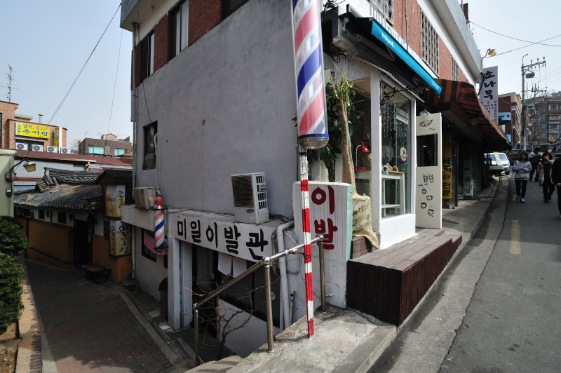 DSC_8390.jpg