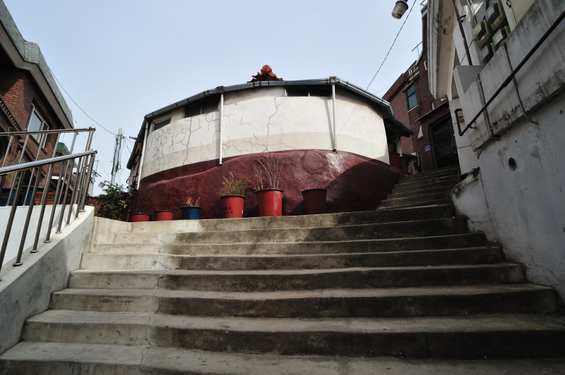 DSC_8396.jpg