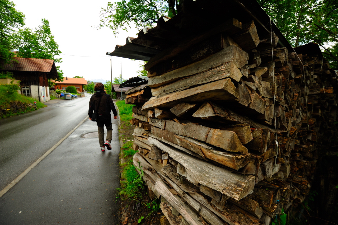 DSC_6179.JPG