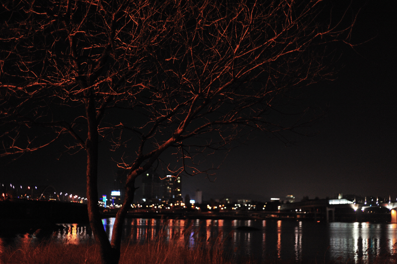 DSC_9047.jpg