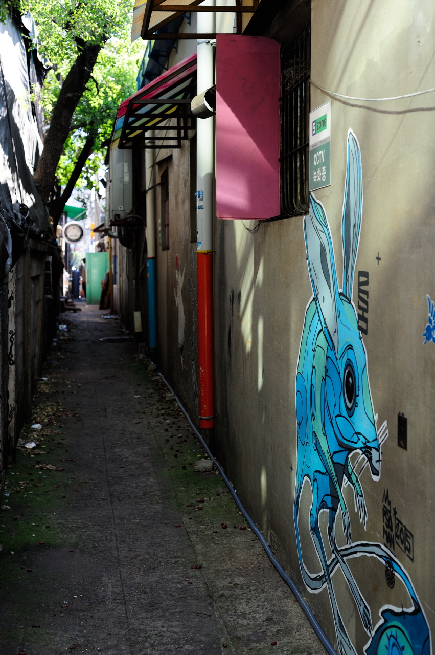 DSC_2477_01.JPG