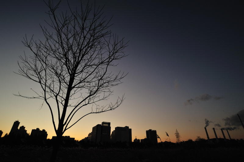 DSC_4896.jpg