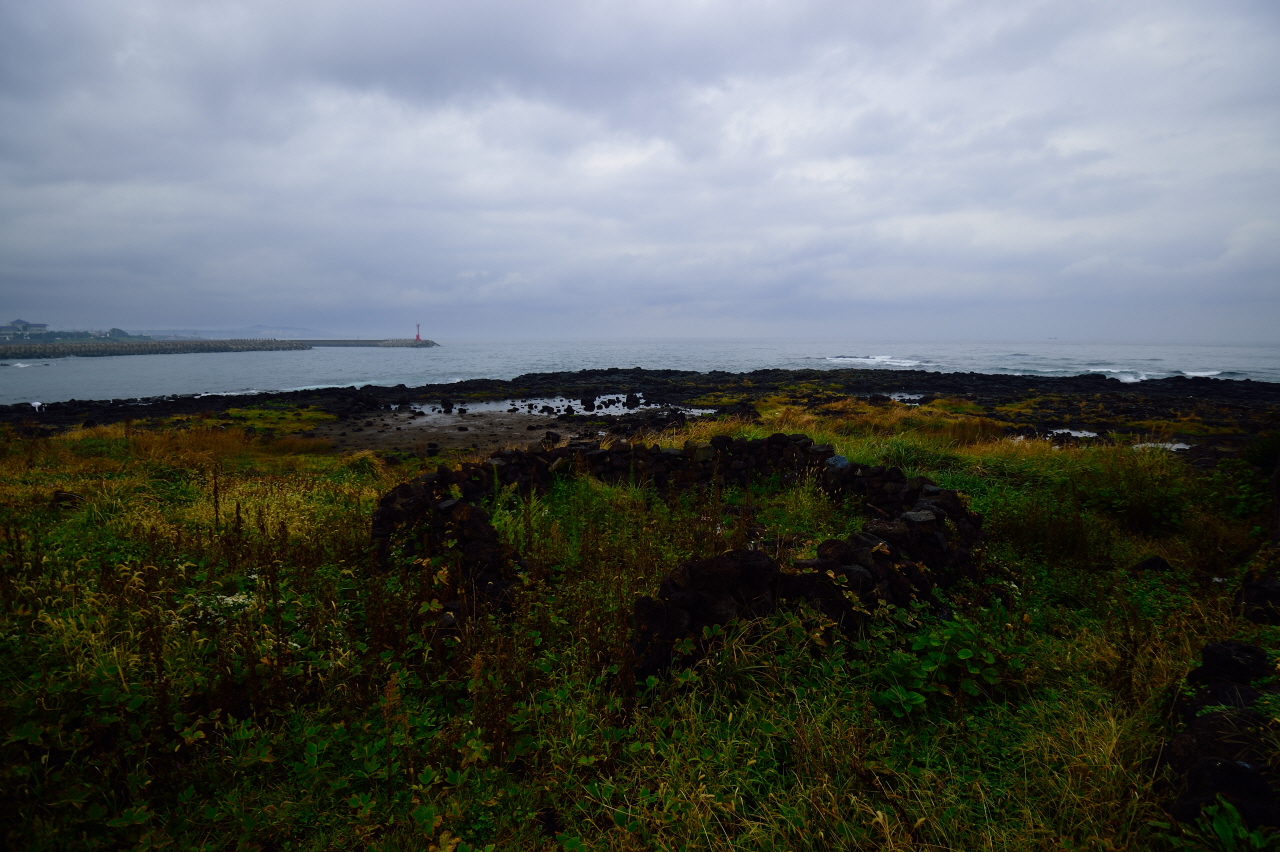 DSC_3322.JPG