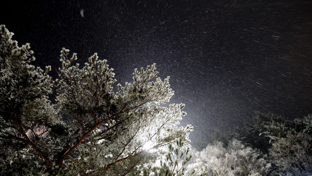 DSC_0857.JPG