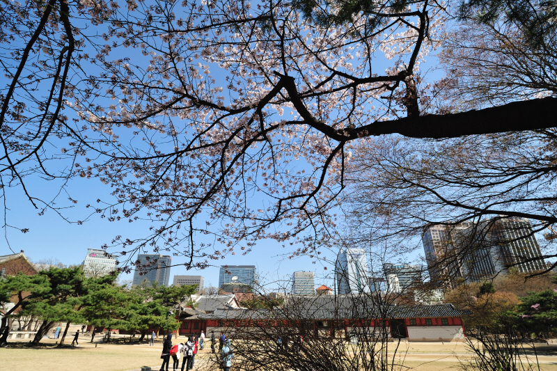 DSC_9478.jpg