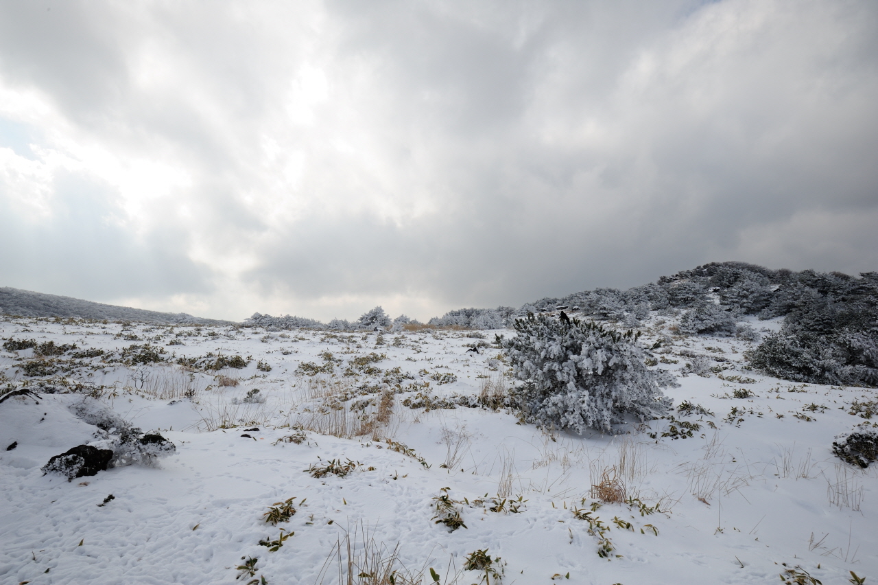 DSC_3006_01.JPG