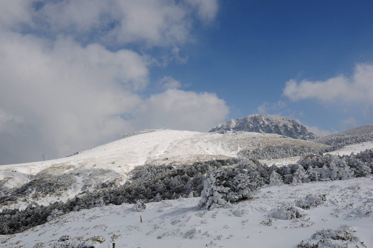 DSC_3053_01.JPG