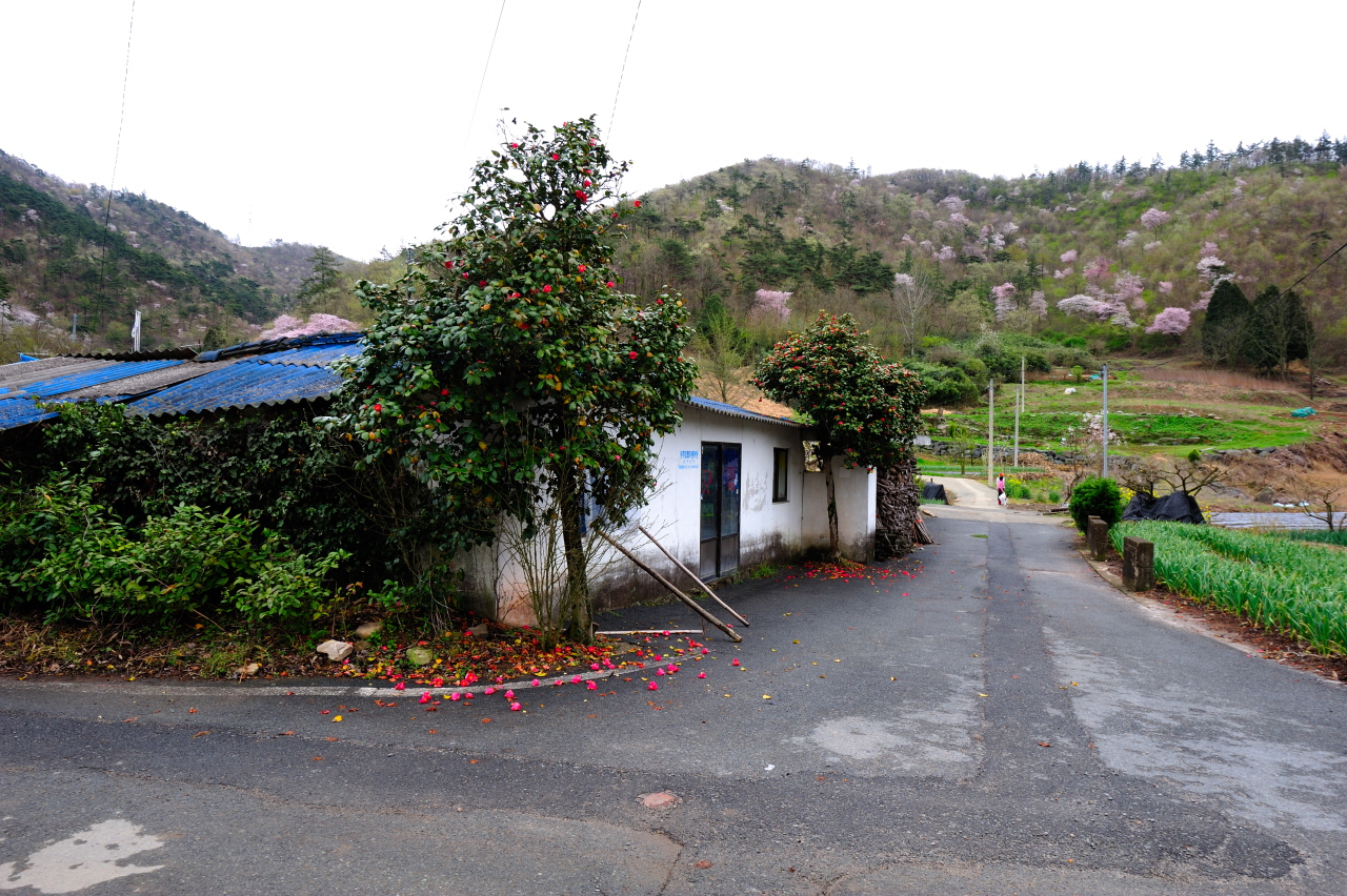 DSC_3391.JPG