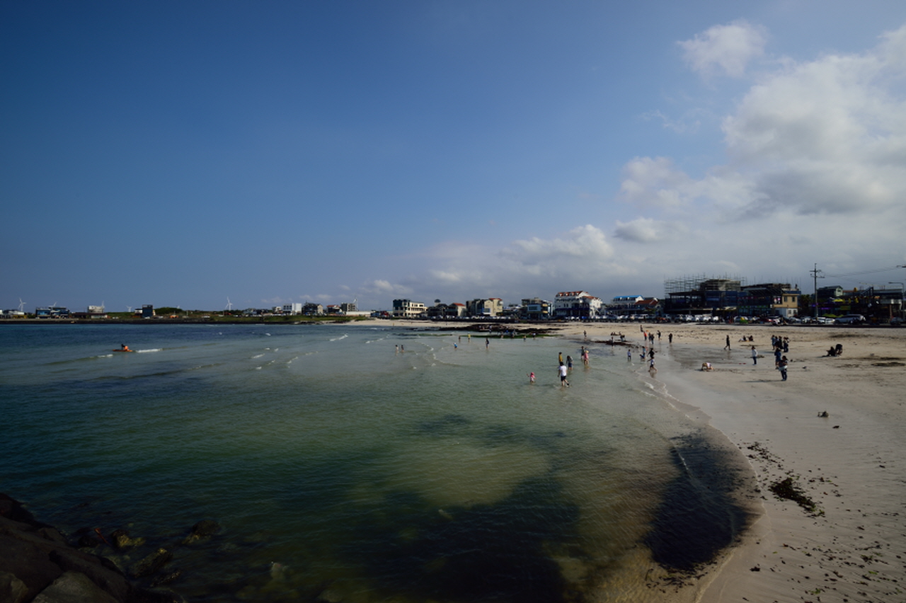 DSC_3462.JPG