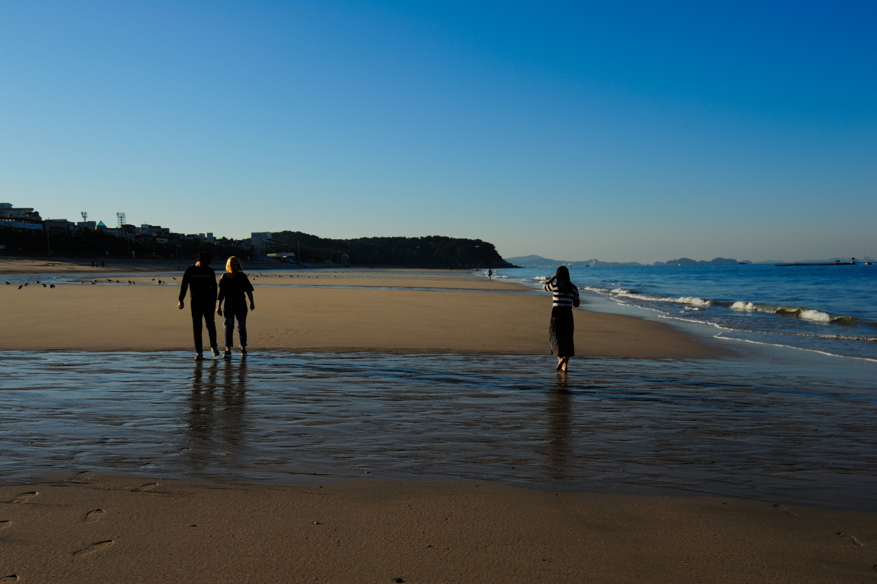 DSC_0439.JPG