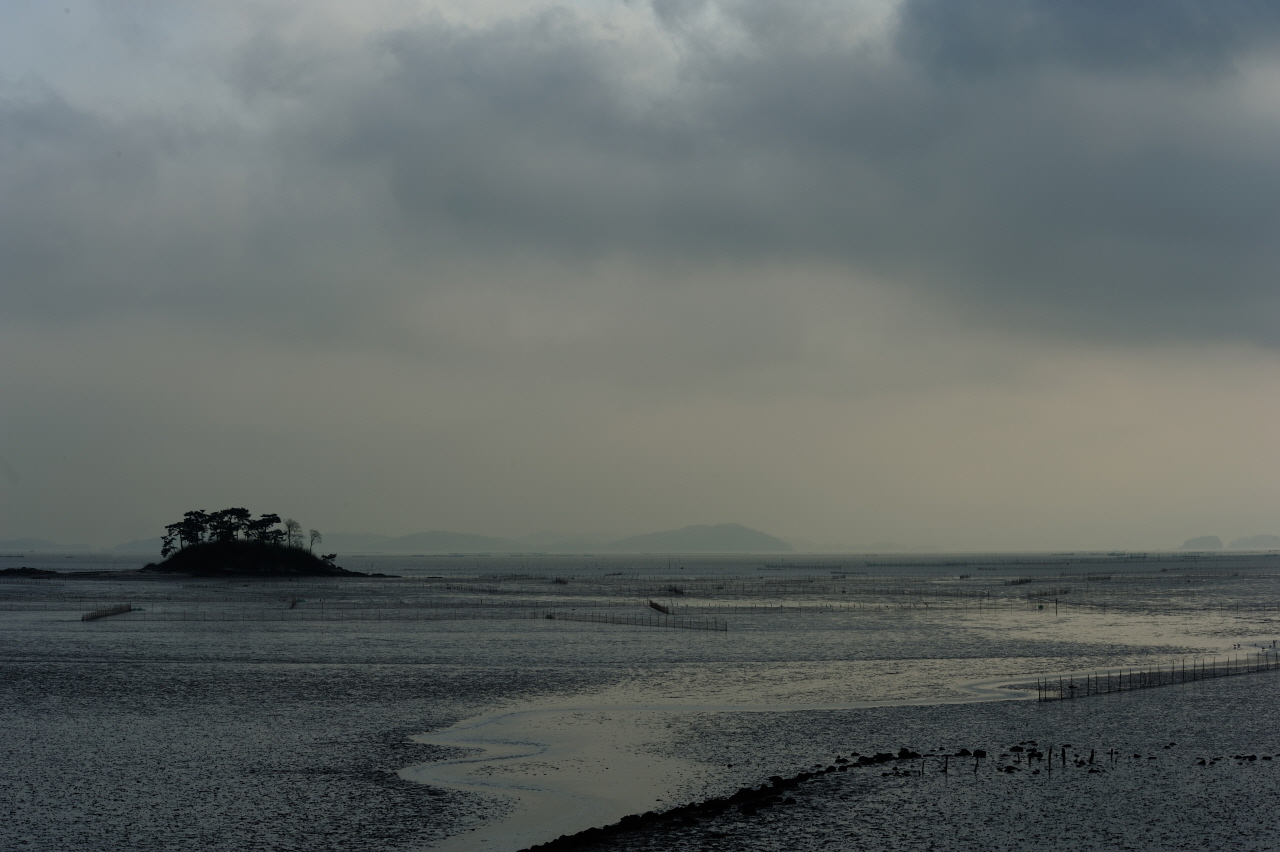 DSC_3488.JPG