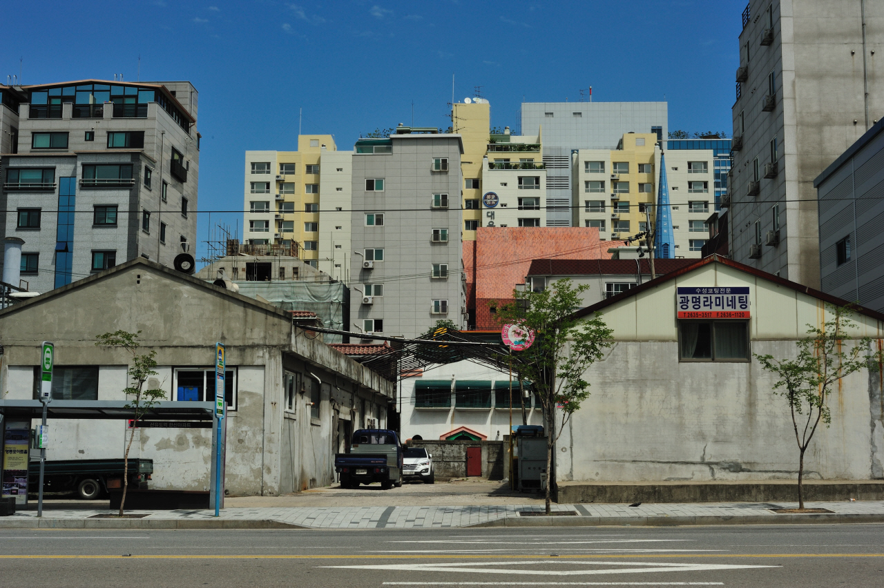 DSC_7764.jpg