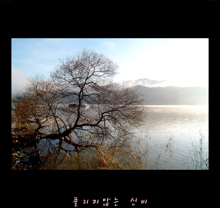 DSCF14141.jpg