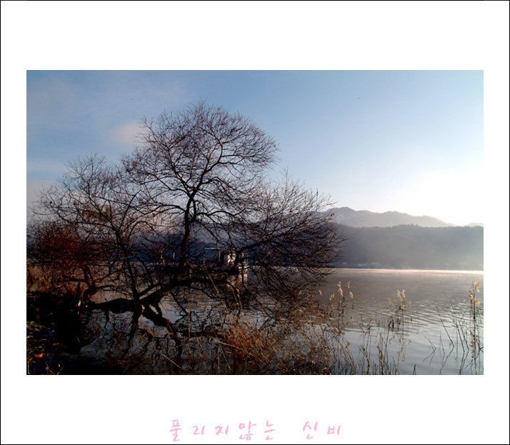 DSCF14261.jpg