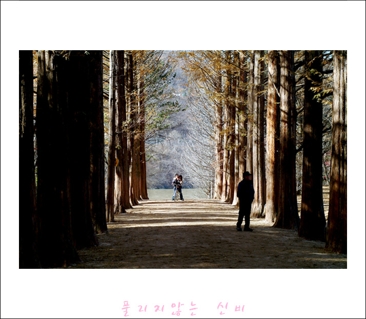 DSCF14951.jpg
