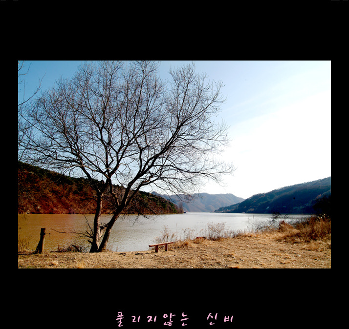 DSCF15901.jpg