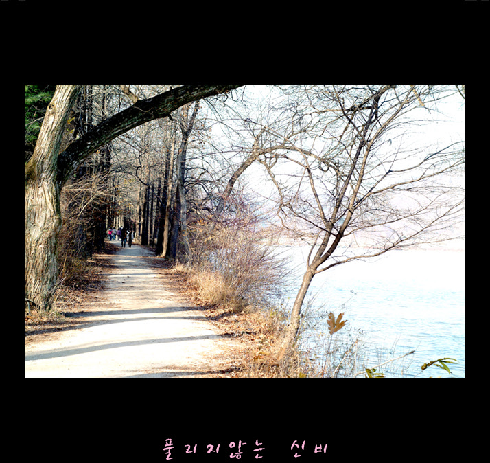 DSCF16081.jpg