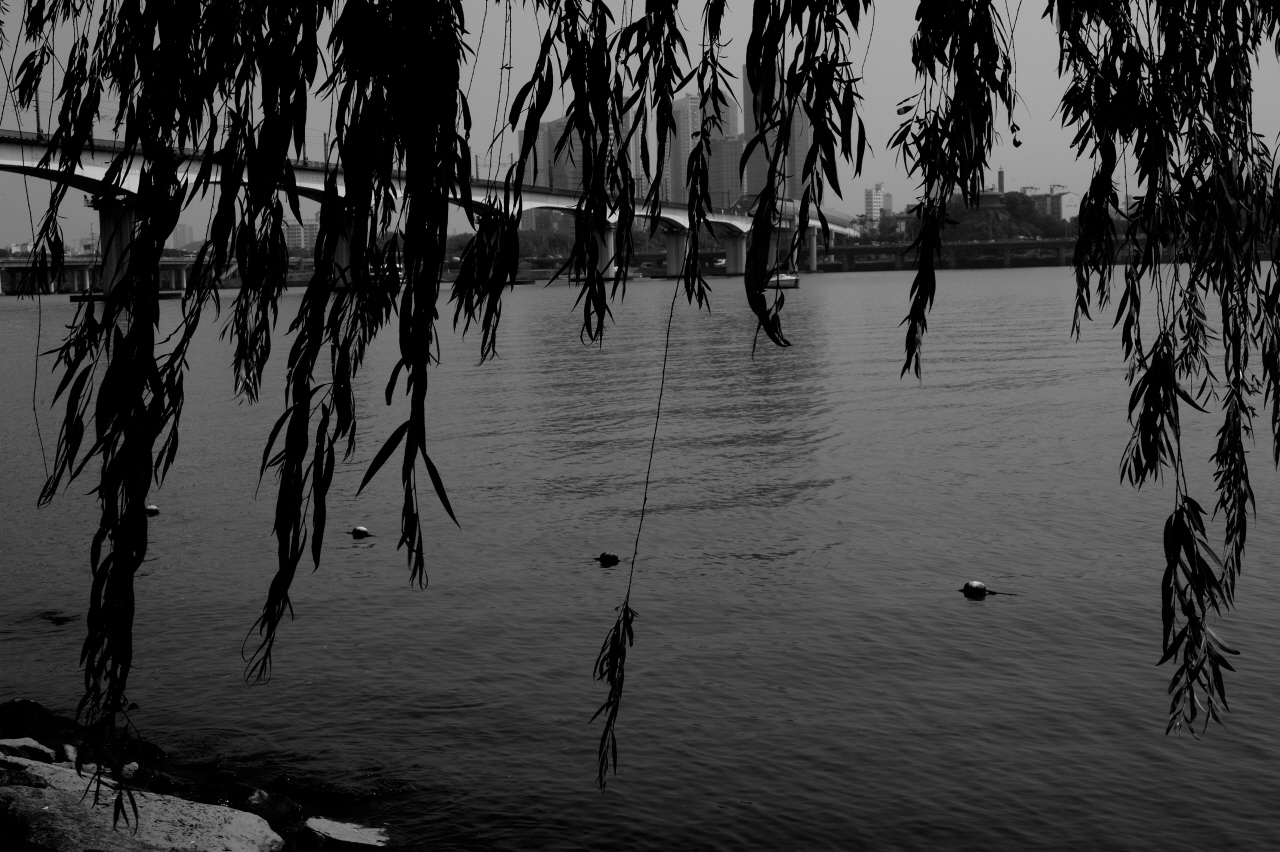 DSC_8293.JPG