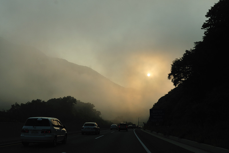 DSC_8652.jpg
