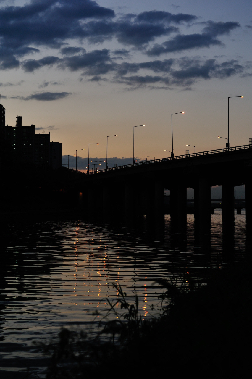 DSC_9744.jpg