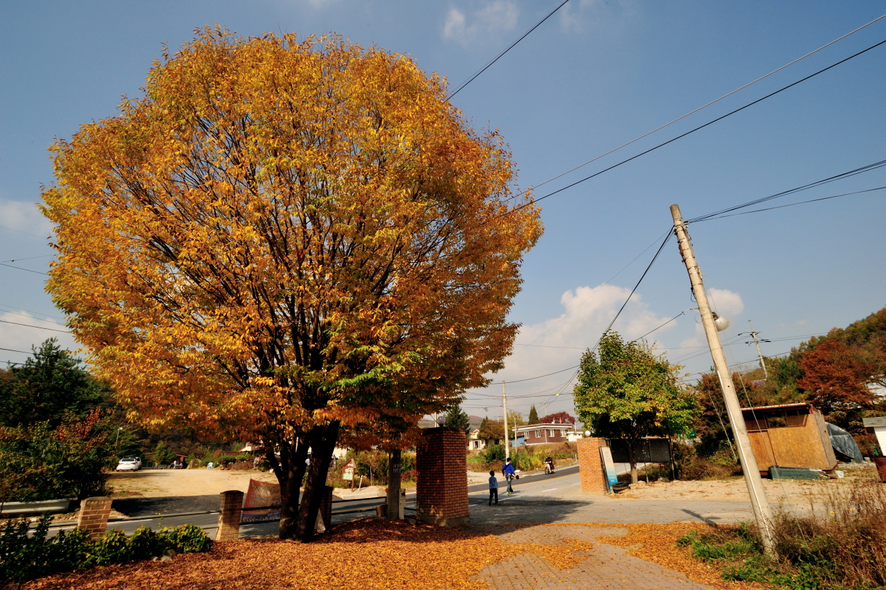 DSC_0093.jpg