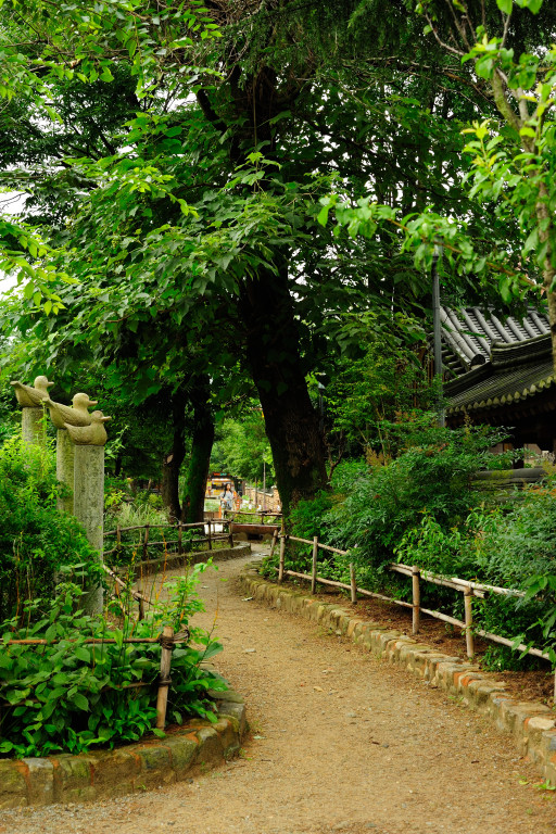수정됨_DSC_5764.jpg