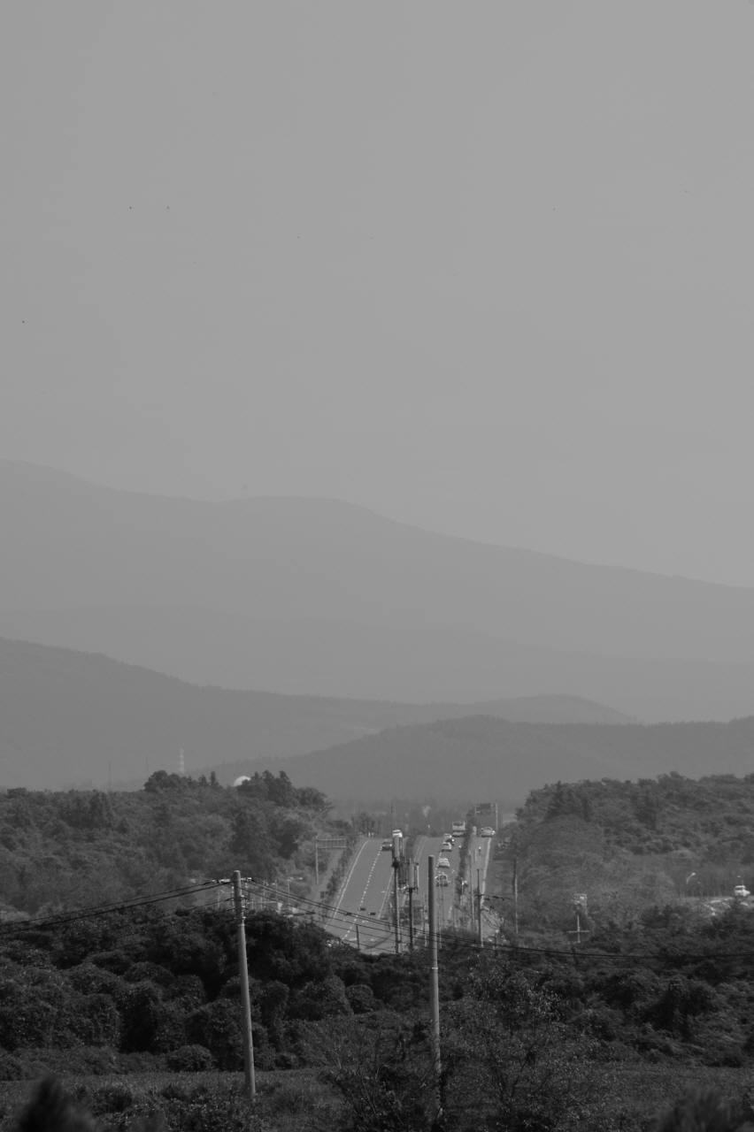 DSC_3896.JPG