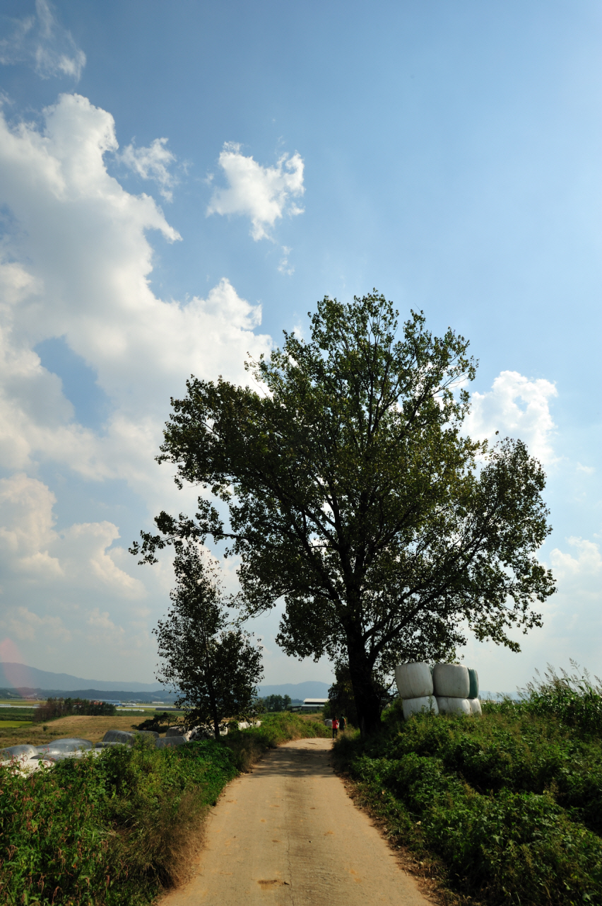 DSC_4461.jpg