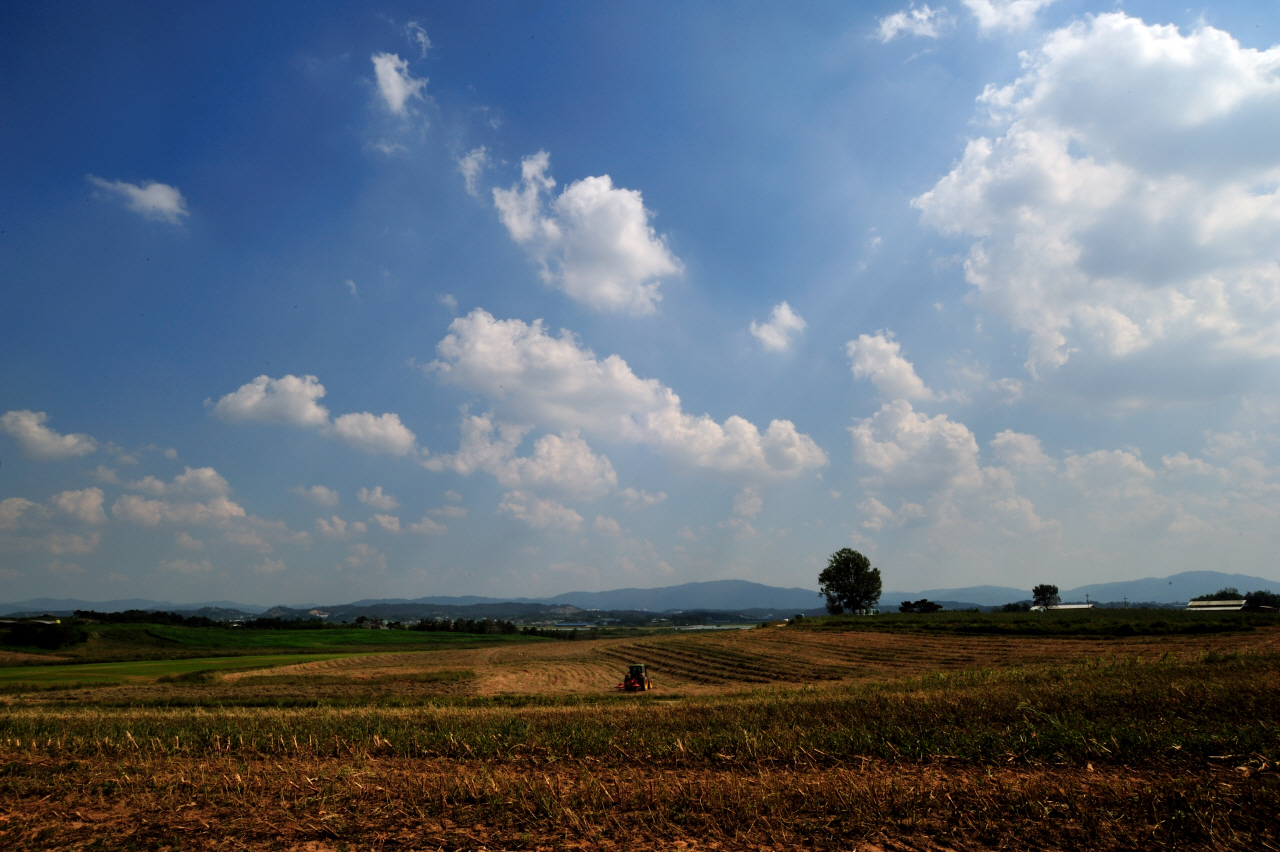 DSC_4419.jpg