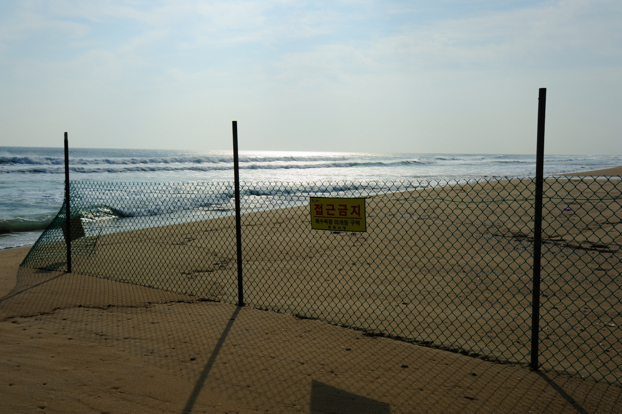 DSC_9475.JPG