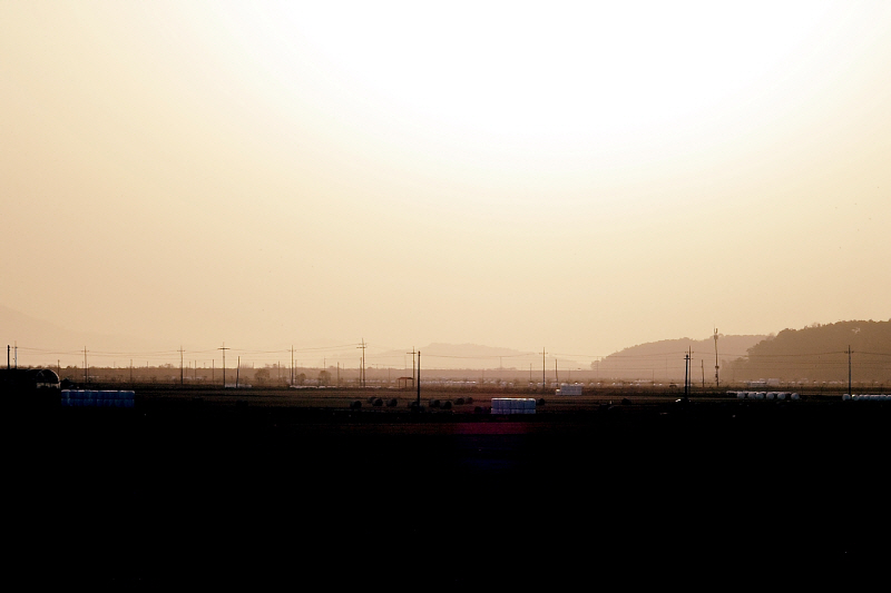 DSC_5980.jpg