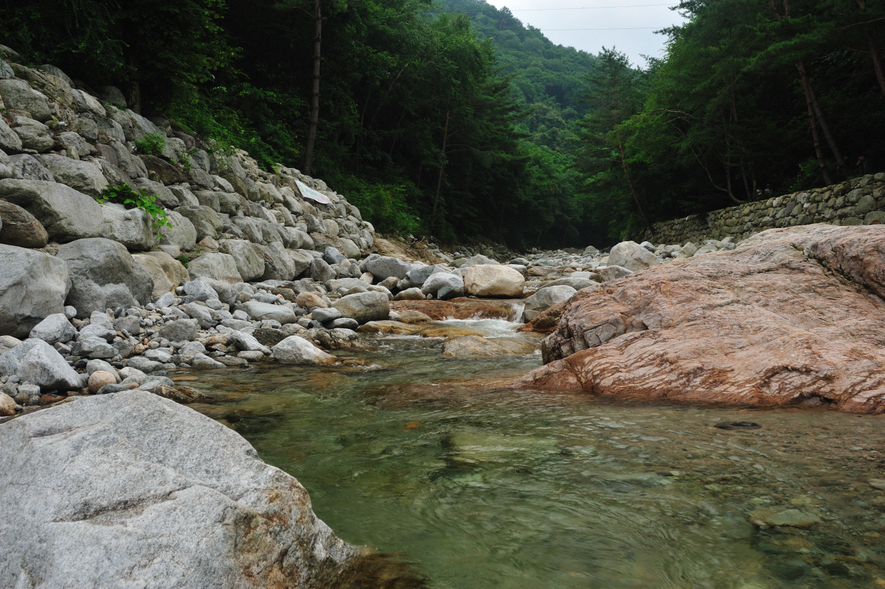 DSC_7458.jpg