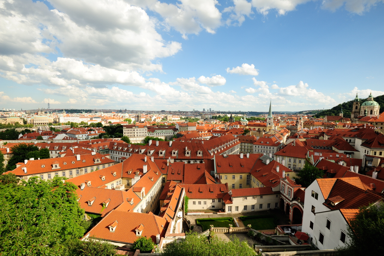 DSC_4246.JPG