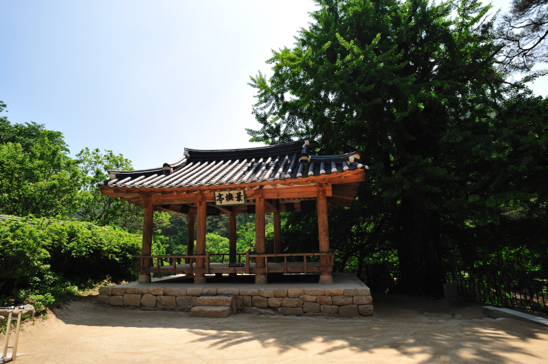 DSC_1195.jpg