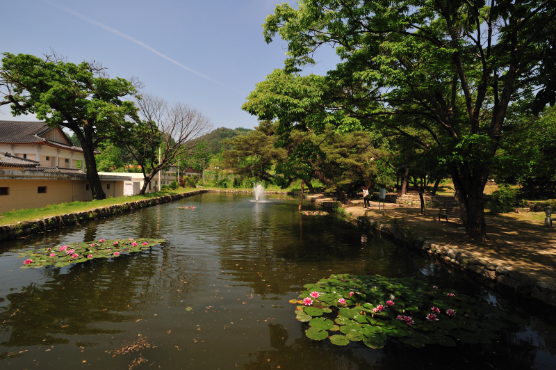 DSC_1168.jpg