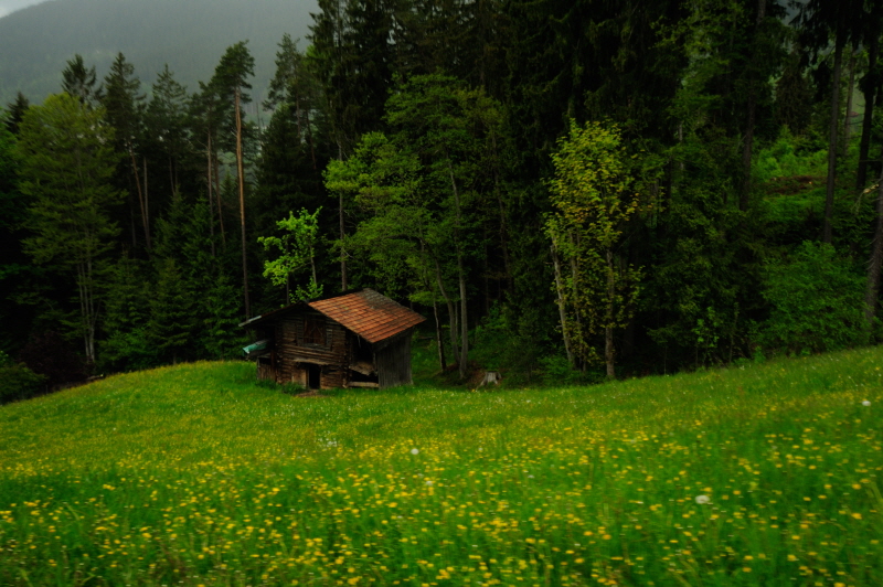 DSC_6098.JPG