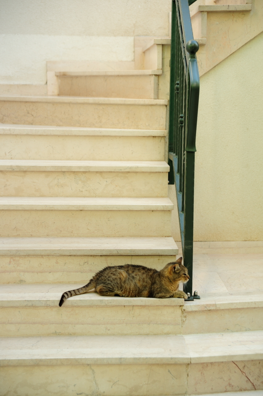 DSC_6927.JPG