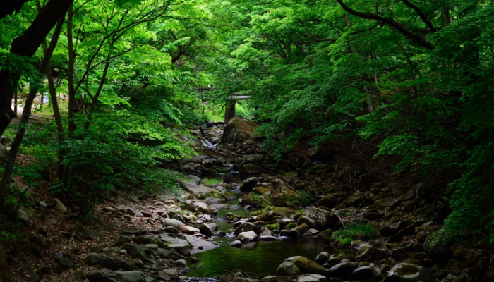 	2022 남도여행_송광사<br>
	순천 송광사 매우 오래된 고찰이다. 생각보다 큰절이고, 입구에서 절까지 올라가는 길이 산책하기 좋고 아름답다.